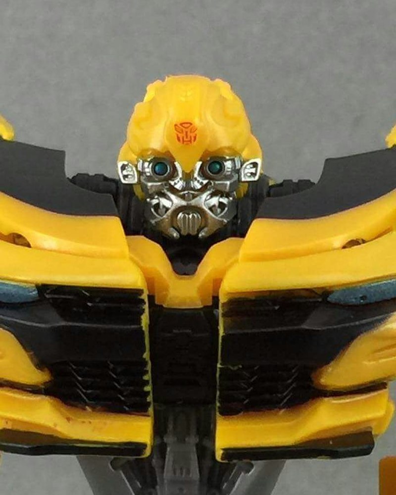 Tlk best sale deluxe bumblebee